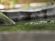 [MBRBN-042] 天月あず 湯女美人 - 1of5