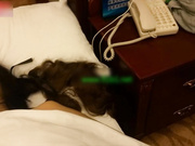 為了拉業務美女老板娘親自陪酒被灌醉帶入酒店任意玩弄 摸奶摳穴淫水溢出貌似被玩多得黑了～1080P高清