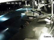 網爆門事件！香港某星級酒店一對情侶趁著夜晚沒人在頂層遊泳池啪啪被監控拍下流出視頻 720P高清