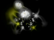 H4610 ki241229 白河 恵美 29歳