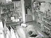 最新流出-居家攝像頭破解拍攝到的小賣部豐滿大奶老板娘被頹頭老公猛插 貌似還有小狗在旁邊舔屁股 720P高清原版