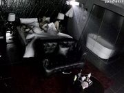 偷拍酒店之帅气男友爆操女友