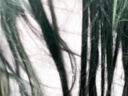 【真实乱伦】表姐跟老公吵架，来我家借住被我强行在厕所操了，一开始很抗拒，后面爽了