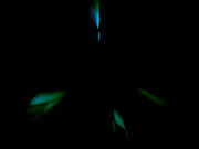 JUR-061 美しき一凛の『花』が咲く、Madonnaの新時代―。 超大型新人 いち花 30歳 AV DEBUT - 1of5