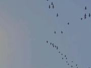 [破解]MIDE-411 和西宫甜蜜恋爱的同居生活 西宮このみ - 1of5