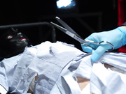 MSQD-005 口淫授業 安堂はるの - 2of5