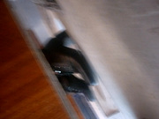 商场女厕偷拍熟女尿尿