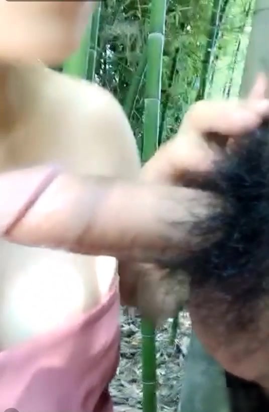 样子纯朴的村姑和乡下小伙在家里后面的竹林里直播啪啪