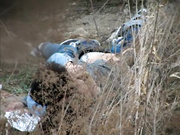 网曝不雅门事件，西安桃花潭公园两学生情侣荒草掩护席地野战，干完用纸巾擦一擦