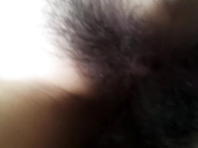 白天在家啪啪小女友 她害羞遮住脸不让拍 插了兩下就开始呻吟了 车灯不错很闪亮