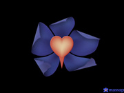 2020成人站收费精品极品乌克兰美女模特克鲁兹催情推油按摩脱光抹油肉体交合爽滑插入画面唯美诱人很有撸点