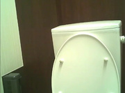 新流出写字楼餐厅女厕偷拍美女嘘嘘气质白领姐姐性感的逼毛很有撸点