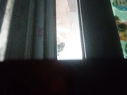 偷拍楼下美女澡奶子真好看真美