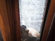 偷拍楼上萌妹子洗澡