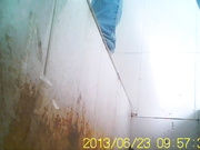 6月沟厕--连拍两只