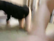 极品美腿小骚货楼道厕所操逼扶着楼梯翘臀后入